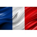 Franceses